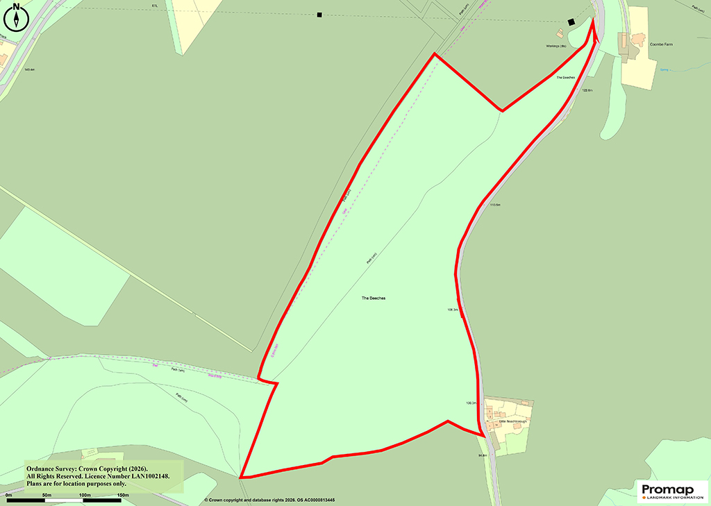 Lot: 8 - ALMOST 28 ACRES WOODLAND -